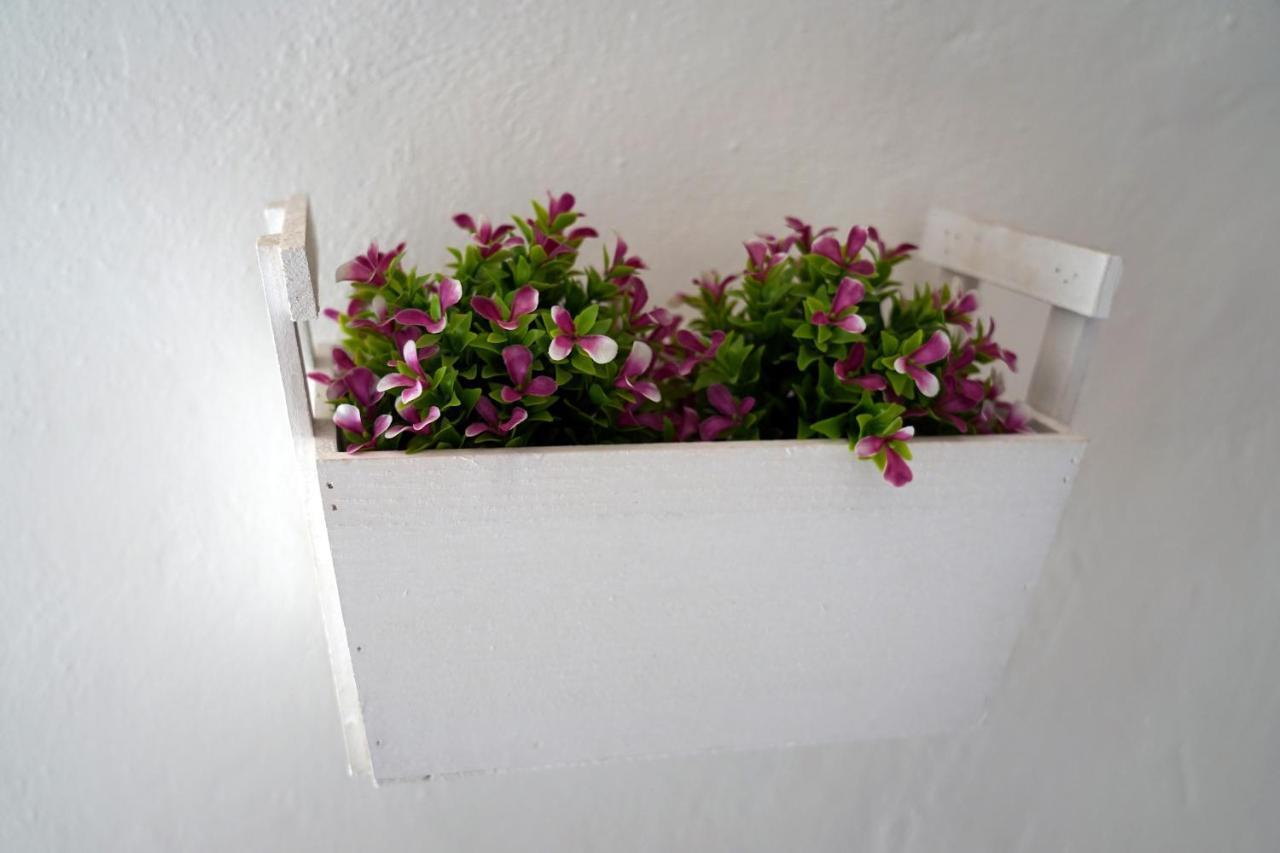 Apartament Blu_Cielo Terra Ostuni Zewnętrze zdjęcie
